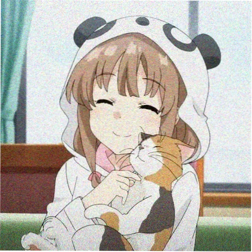 用户键盘上的猫头像